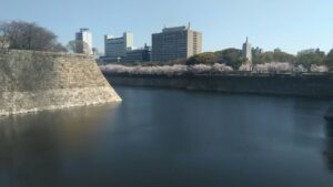大阪城の堀と桜
