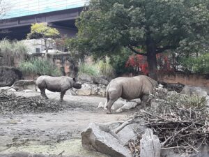 天王寺動物園の動物
