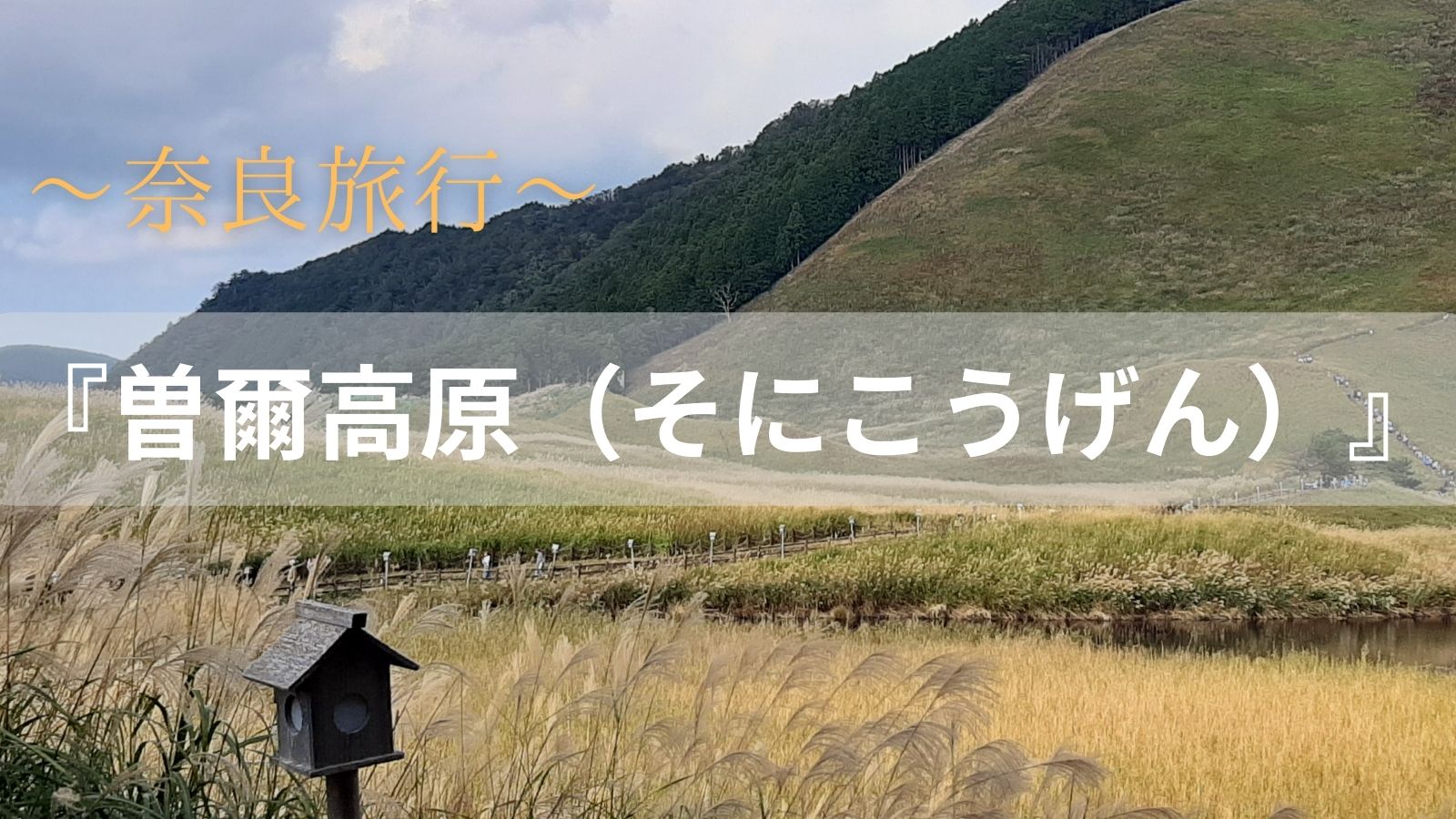 奈良旅行「曽爾高原」